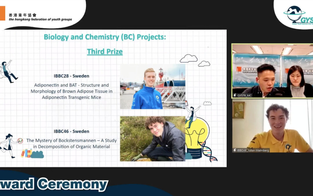 Vinstregnet över landslaget fortsätter